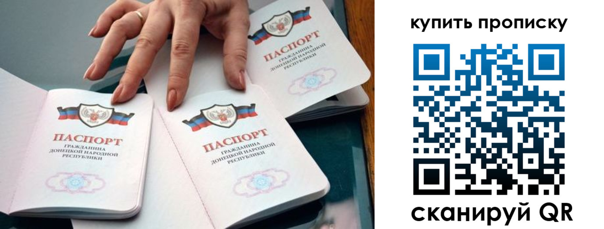 где прописаться в Елизово